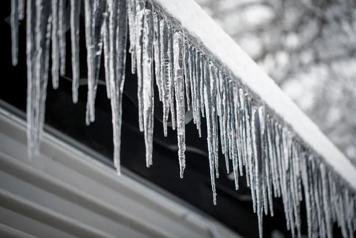 Last Week of November: Siding Repair Priorities Before the First Freeze
